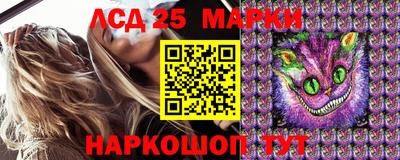 ПСИЛОЦИБИНОВЫЕ ГРИБЫ Кимры