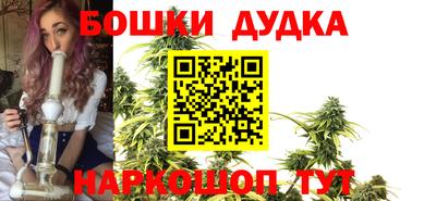 ПСИЛОЦИБИНОВЫЕ ГРИБЫ Кингисепп