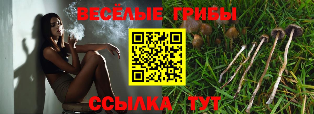 Лениногорск  Галлюциногенные грибы ЛСД  Вход с VPN  Псилоцибиновые грибы Cubensis 